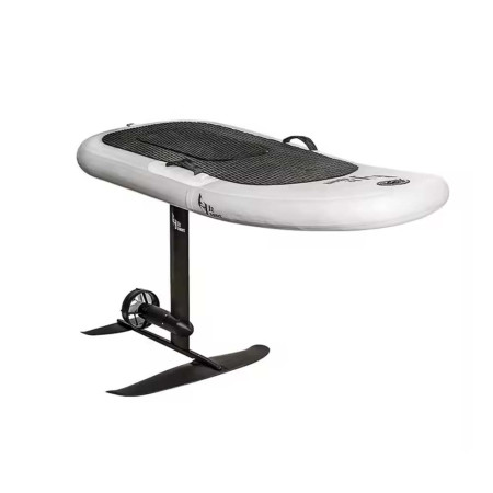 Electric Surfboard