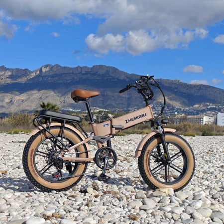 Off-road electric bike Zhengbu, 400W, 10Ah