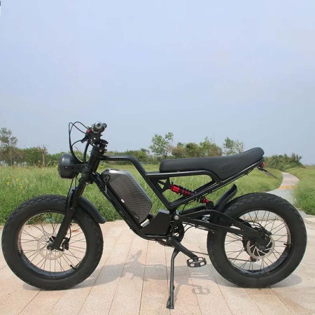 Electric bike, moped