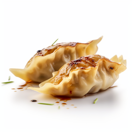 Duck gyoza dumplings